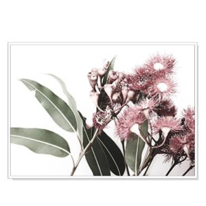 Wall Art 50cmx70cm Eucalyptus in Bloom White Frame Canvas