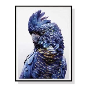 Wall Art 50cmx70cm Black Cockatoo A Black Frame Canvas