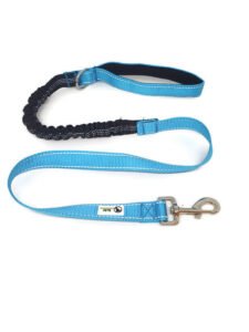 Bungee Dog Lead Nylon w/Reflective Stitching – Moondidley Pets Light Blue