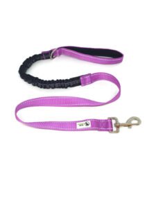 Bungee Dog Lead Nylon w/Reflective Stitching – Moondidley Pets Purple